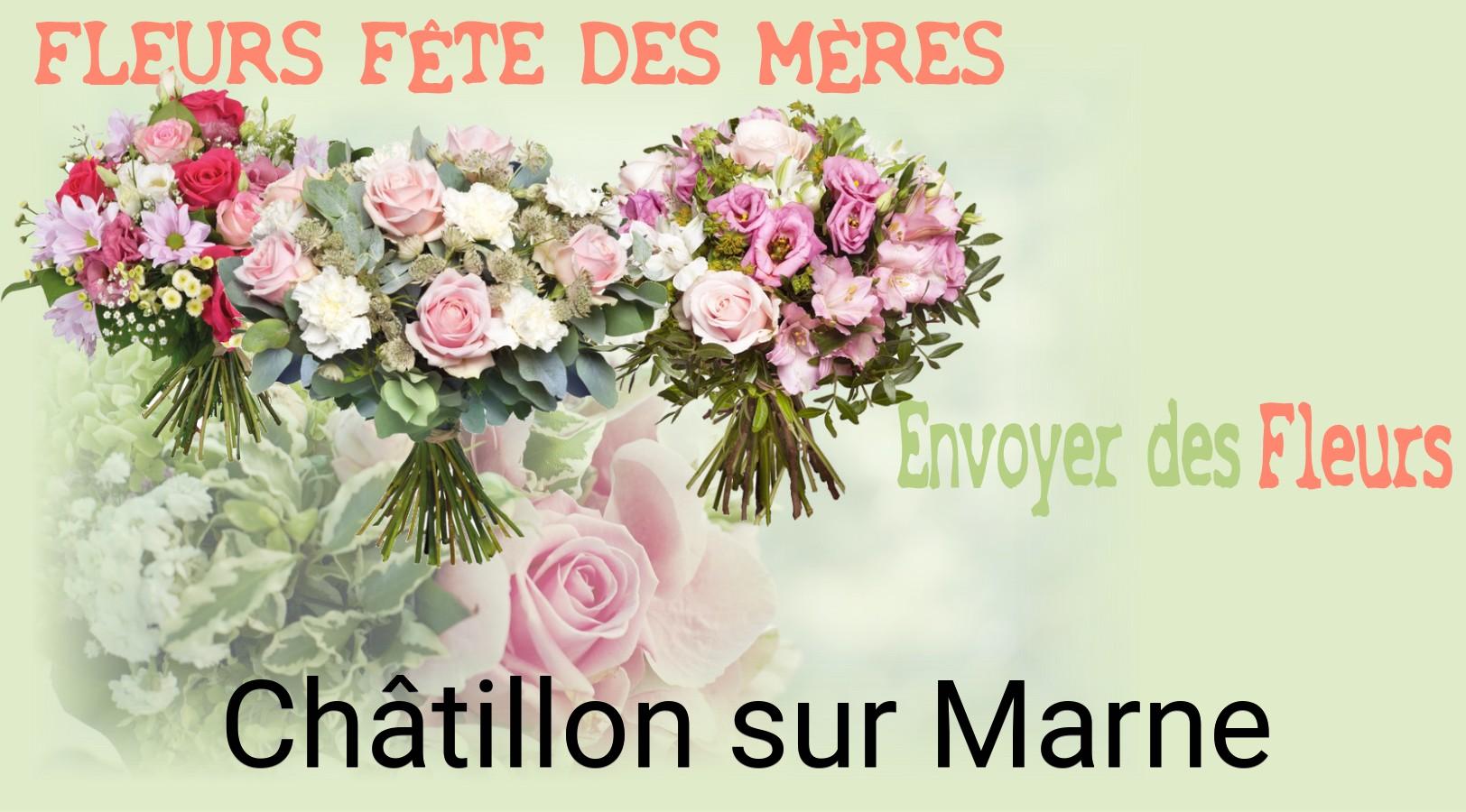 Bouquet de Fête des Mères livré à Châtillon-sur-Marne